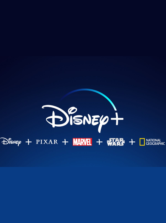Disney+ 共享(7人) 1个月