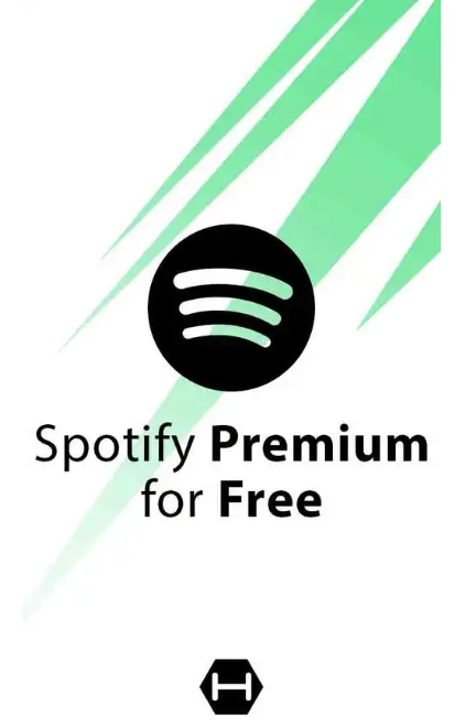 Spotify 会员续费 12个月（成品账号）