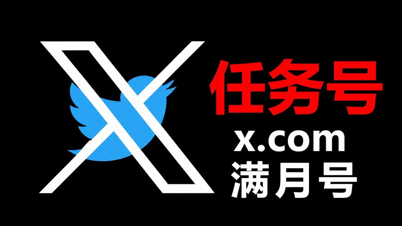 Twitter/X 账号｜半年左右款｜2FA 与 Token